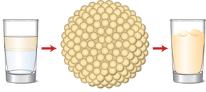 Lipoproteine mantengono il colesterolo "disciolto" Lipoproteine mantengono il colesterolo "disciolto"